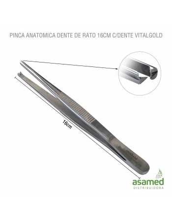 PINCA ANATOMICA DENTE DE RATO 16CM VITALGOLD