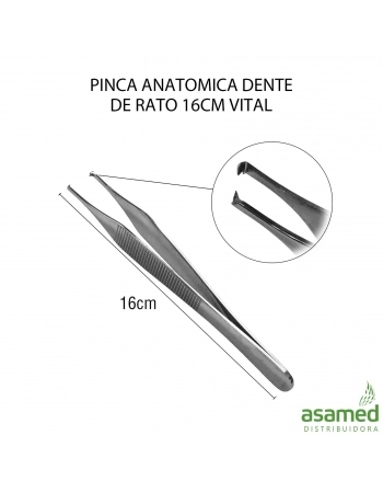 PINCA ANATOMICA DENTE DE RATO 16CM VITAL