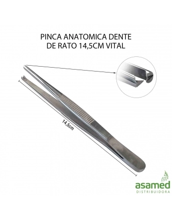 PINCA ANATOMICA DENTE DE RATO 14,5CM VITAL