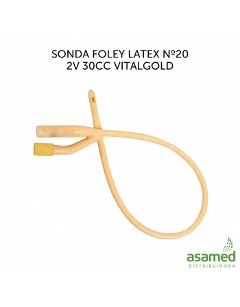 SONDA FOLEY LATEX Nº20 2V 30CC VITALGOLD