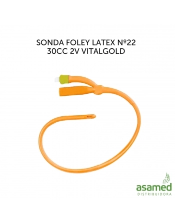 SONDA FOLEY LATEX Nº22 2V 30CC VITALGOLD